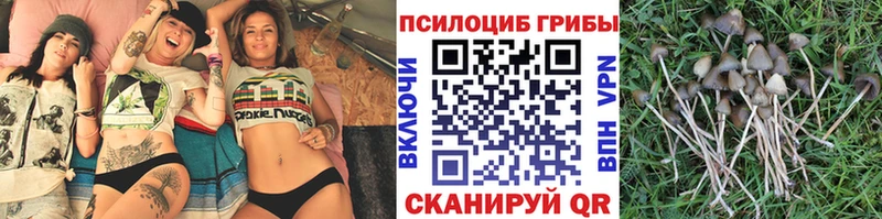 цена наркотик  Бирюч  кракен сайт  Галлюциногенные грибы Cubensis 